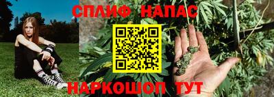 спиды Малгобек