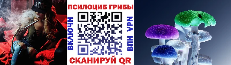 Галлюциногенные грибы Psilocybe  Ставрополь 