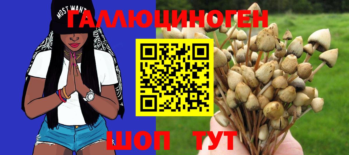 Ставрополь  Галлюциногенные грибы GOLDEN TEACHER  Вход с VPN  Галлюциногенные грибы прущие грибы 