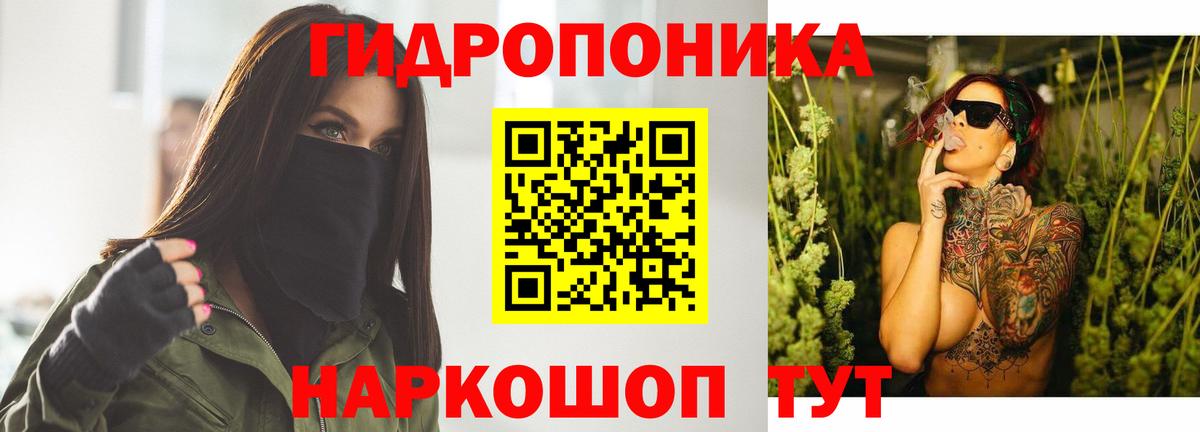 Марихуана конопля  Вход с VPN  Ставрополь  Бошки марихуана план  МАРИХУАНА Amnesia  МАРИХУАНА Ganja 